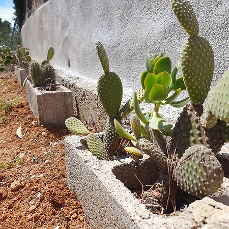 Casa Estela *