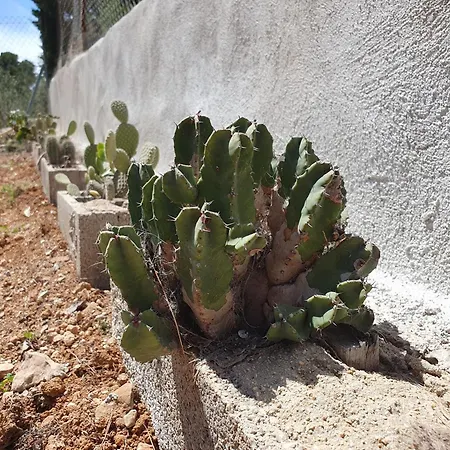 Casa Estela Feriehus *