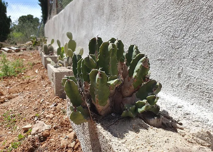 Casa Estela Semesterbostad *
